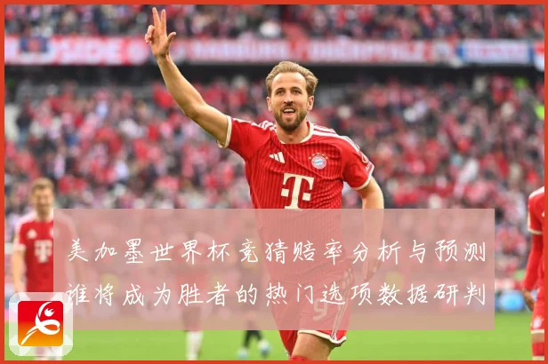 美加墨世界杯竞猜赔率分析与预测谁将成为胜者的热门选项数据研判-深度解析